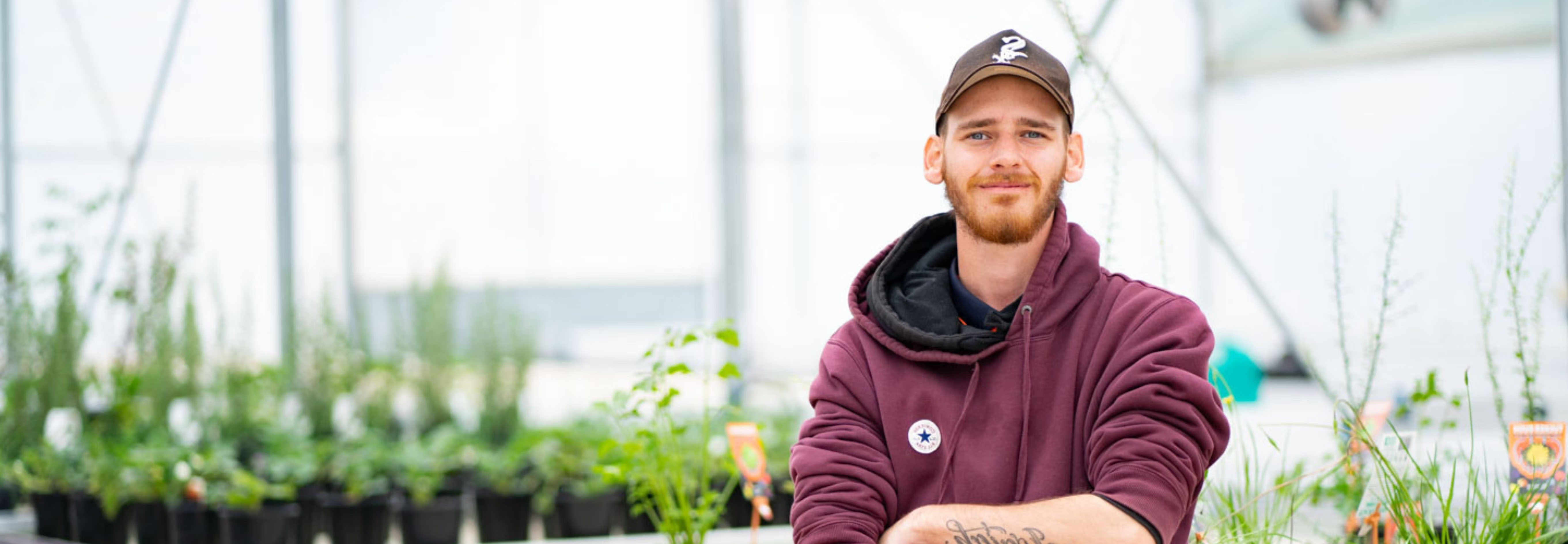Young male horticulture students standing in a plant nursery or greenhouse.